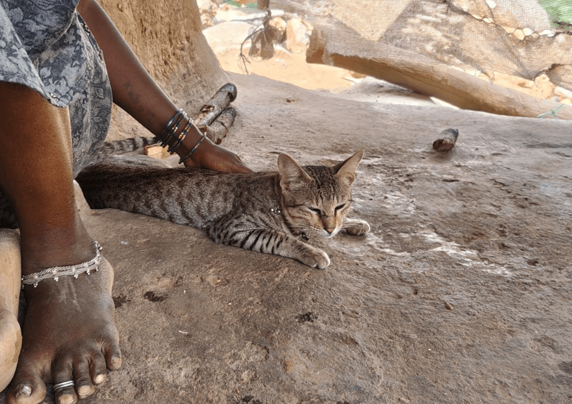 Not Poor Enough for the Data: Inside India’s Way of Measuring Poverty